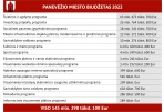 Patvirtintas 2022 m. Panevėžio miesto biudžetas: nuosekliai stiprinamos prioritetinės kryptys