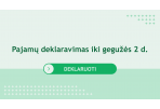 Vyksta pajamų deklaravimas