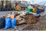 Kaip tinkamai pasirūpinti žaliosiomis atliekomis?