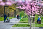 Pajamas deklaravo 41 tūkst. panevėžiečių