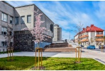Šiandien Panevėžyje baigiamas šildymo sezonas