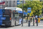 Po 519-ojo Panevėžio gimtadienio renginių vežios nemokami naktiniai autobusai 