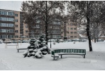 Hidrometeorologai prognozuoja plikledį 