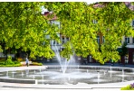 Pasaulinės fotografijos dienos renginiai