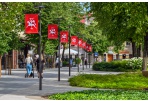 Teikiamos socialinės paslaugos šeimoms