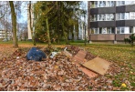 Tinkamai tvarkykime žaliąsias atliekas 