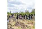 Numatomi renginiai
