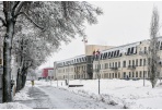 Taryba patvirtino komunalinių atliekų tvarkymo įmokų dydžius 