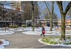 Panevėžyje bus steigiamas paliatyviosios pagalbos dienos centras