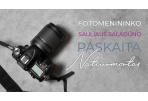 Natiurmortas pagal Saulių Saladūną