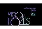 Parodoje „Aukštaitijos dailė 2024. Metamorfozės“ –  menininkų kūrybos kismas 