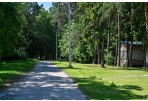 Ketinama atnaujinti Berčiūnų miško parką