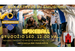 Vyks kalėdinis smūginio turnyras