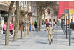 Panevėžys švenčia Kovo 11-ąją: prasidėjo 24 valandas truksiantis estafetinis bėgimas 