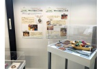 Panevėžys and Toyohashi Celebrate Five Years of Cooperation