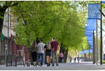 Paskirstytas finansavimas Panevėžio jaunimo projektams ir veiklos programai