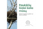 Paukščių lizdų perkėlimas ir ardymas