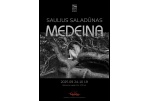 Sauliaus Saladūno fotografijų paroda „Medeina“