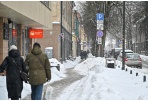Nekilnojamojo turto mokesčių lengvatos – Panevėžio sportą, kultūrą ir mokslą rėmusiam verslui