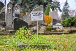 80814_g_kartanas