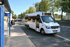 2173_g_kartanas
