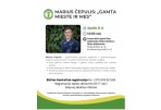 marius Čepulis