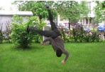 Panevėžiečiai pakartos garsųjį D. Montvydo suktuką