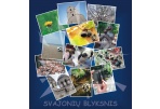 Savivaldybėje atidaroma Specialiosios mokyklos mokinių fotografijų paroda