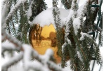 Naujųjų sutikimas: bėgant arba dviračiais  