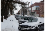 Išmokstame statyti automobilius ir vedžioti šunis     