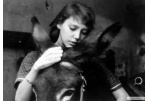 Nekomercinio kino klube – prancūzų kriminalinė drama