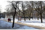 Kviečiame siūlyti seniūnaičių kandidatūras
