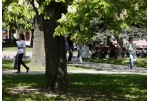 Atstovauti 10 seniūnaitijų pretenduoja 13 žmonių