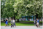 Pradedami rengti želdynų tvarkymo ir taršos šaltinių specialieji planai