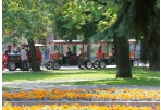 "Susitikime penktadienį" renginių programa