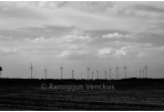 Berlyno dienoraštis per fotografijas ir žodį