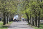 Birželį pradės darbą nauji seniūnaičiai