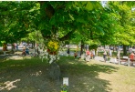 Centro ir Šiaurinė VBT: 2015-ųjų planai