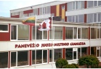 J. Miltinio gimnazijoje – mokyklinio teatro forumas