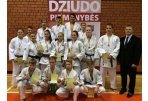 Jaunųjų dziudo sportininkų pergalės