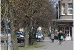 Reidai viešajai tvarkai užtikrinti 