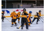 Patvirtinti naudojimosi miesto ledo arena įkainiai