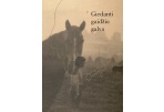 G. Petkevičaitės-Bitės bibliotekoje - S. Eidrigevičiaus knygos pristatymas