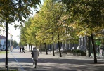 Iš 60 savivaldybių – dvyliktas 