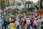 Seniūnijų tikslas – sukurti balansą savivaldoje