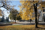 Seimo rinkimai: panevėžiečių balsas