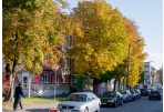 Nepalikime naudotų padangų bet kur
