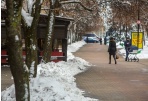 Panevėžiečiai kviečiami dalyvauti konkurse