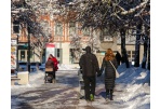 Panevėžys ir panevėžiečiai 2016-aisiais: demografija