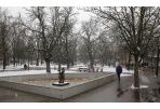 Panevėžyje skelbiama gripo epidemija